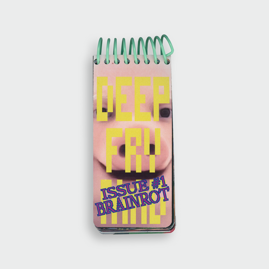DEEP FRY MAG ISSUE #1 BRAINROT